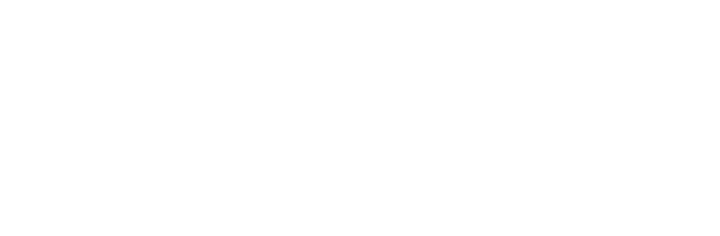 The Ninth Official Stacked Logo